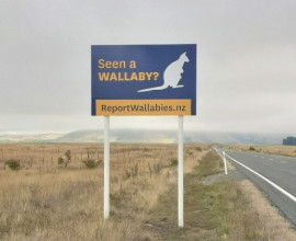 Wallaby sign