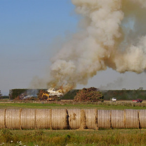 Crop burning on farm