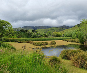 Greenburn wetland
